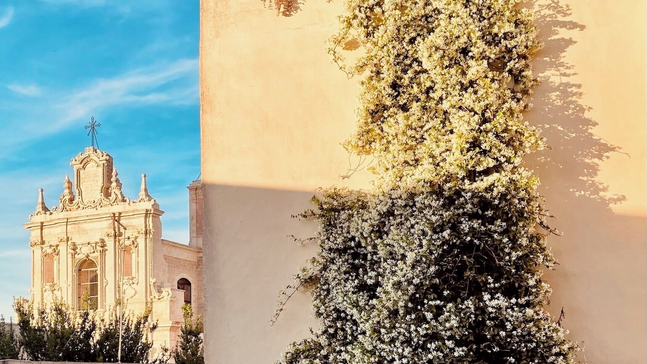 Photo of Outdoor in San Pietro in Lama