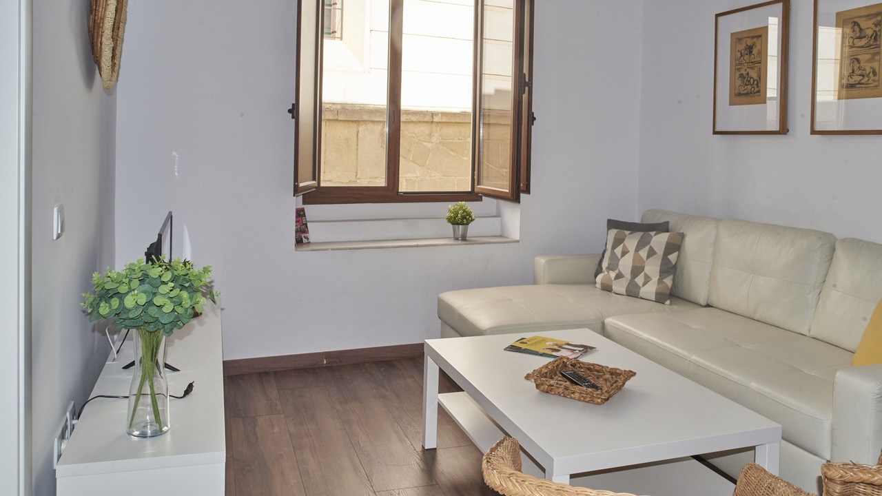 Photo of Livingroom in Jerez de la Frontera Old Town