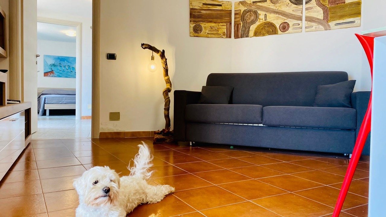 Photo of Livingroom in Gorra