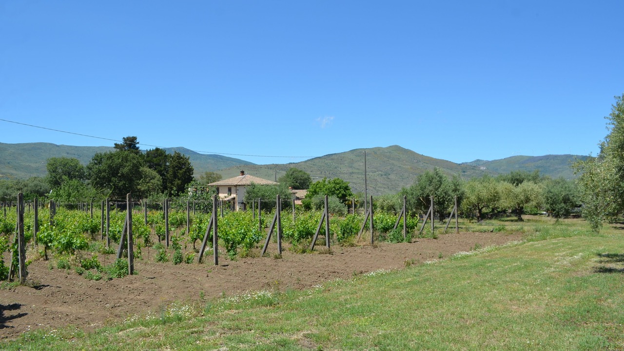 Photo of Outdoor in Randazzo