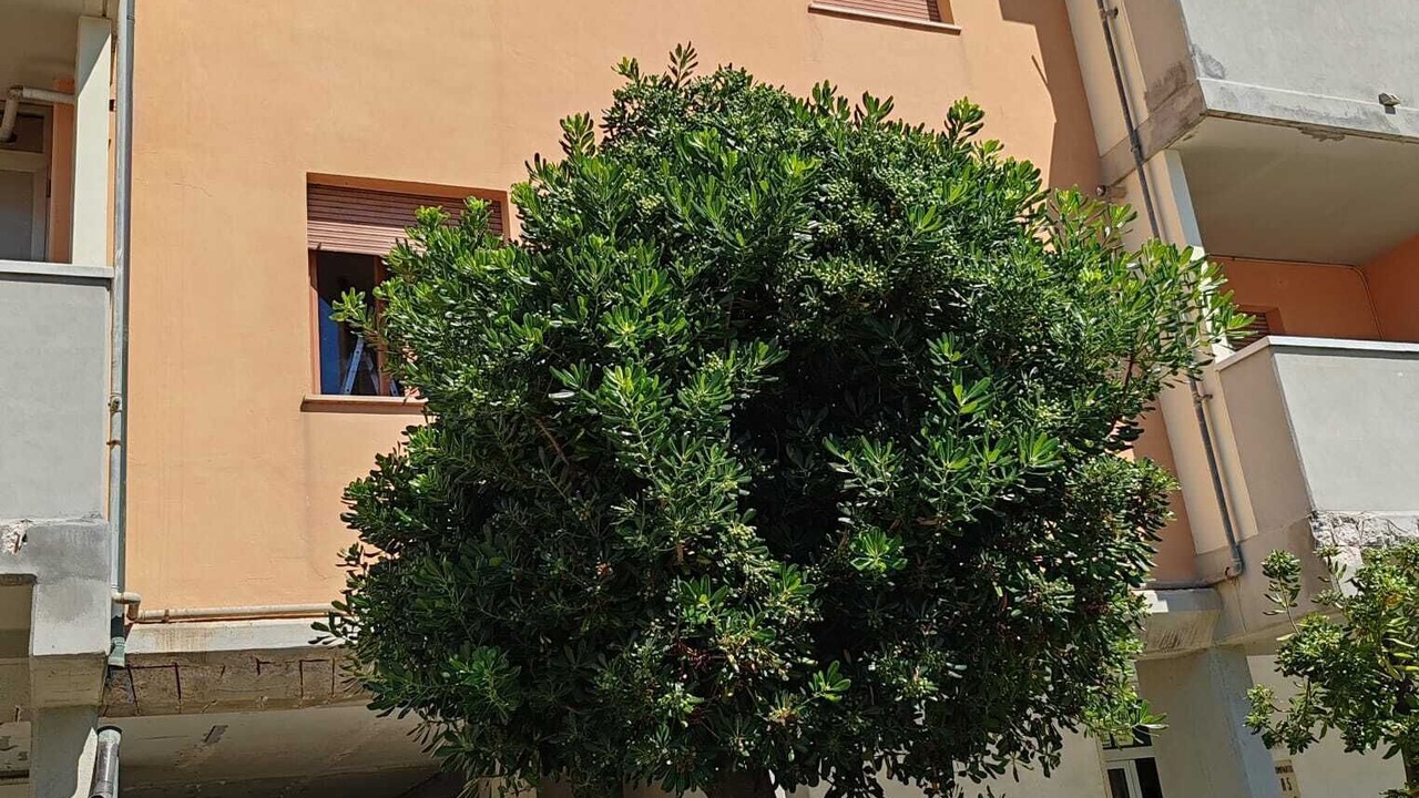 Photo of Outdoor in San Tommaso Tre Archi