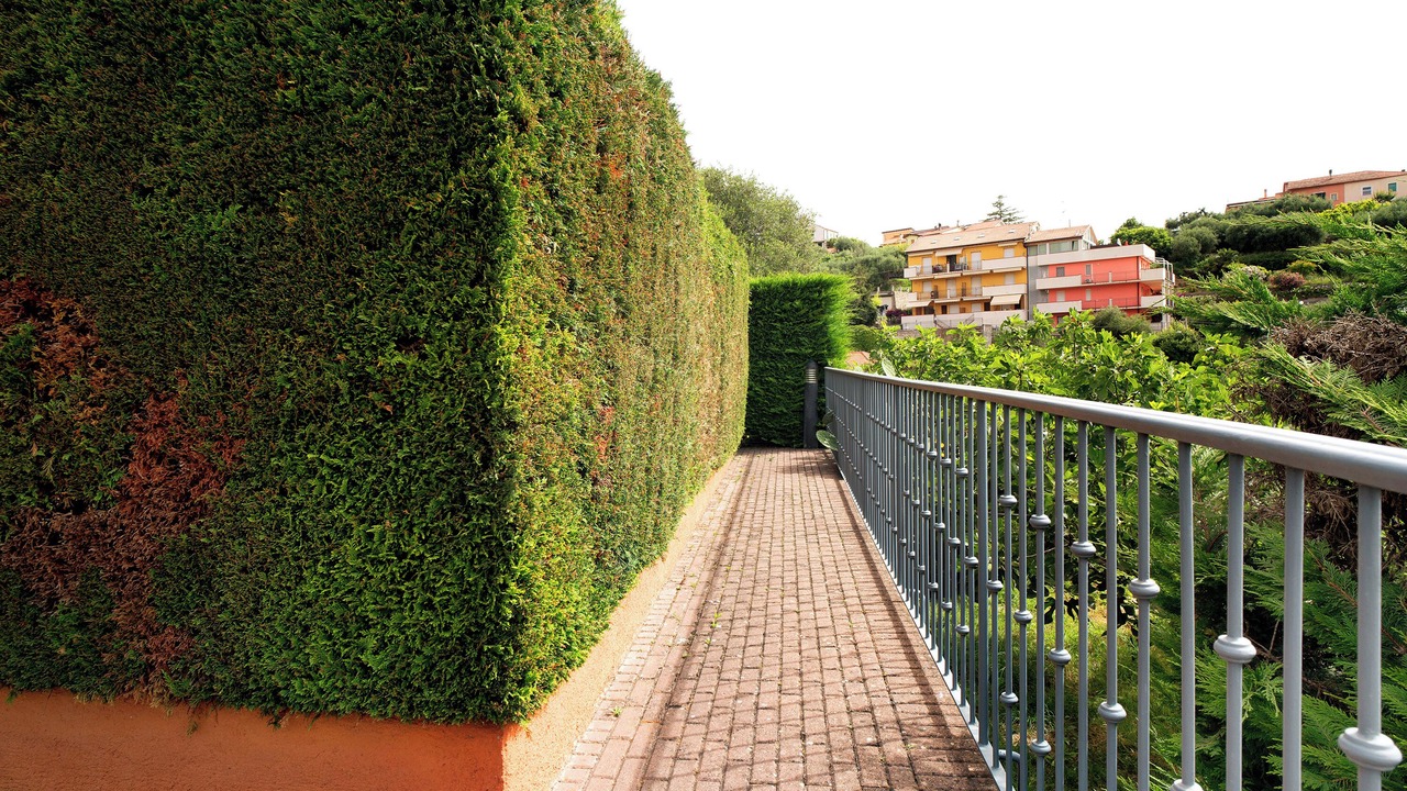 Photo of Outdoor in San Bartolomeo al Mare
