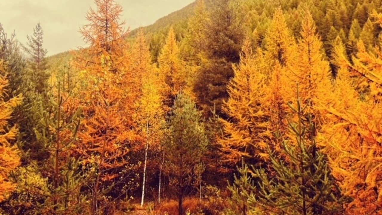 Photo of Others in Champlas du Col