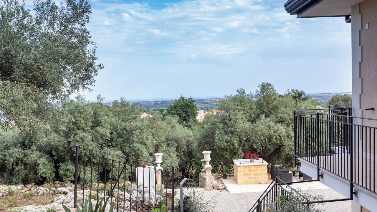 Photo of Outdoor in Belvedere