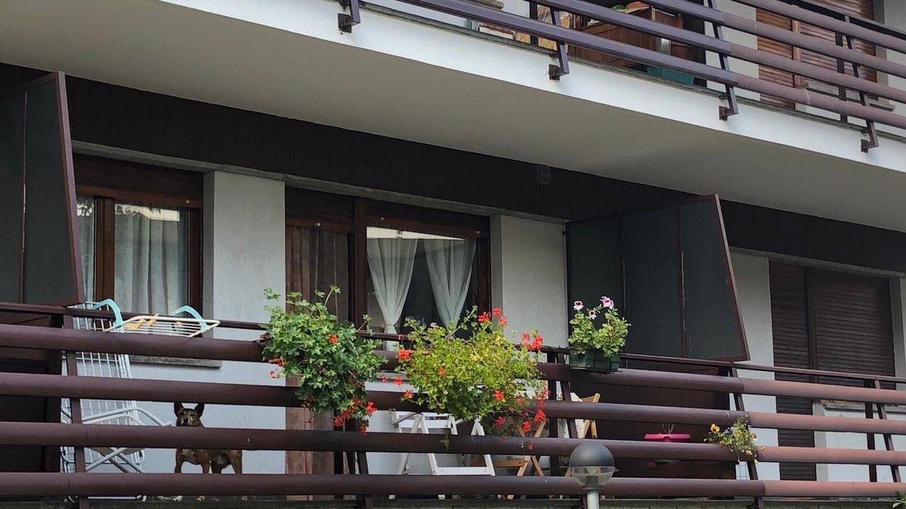 Photo of Outdoor in Montoso