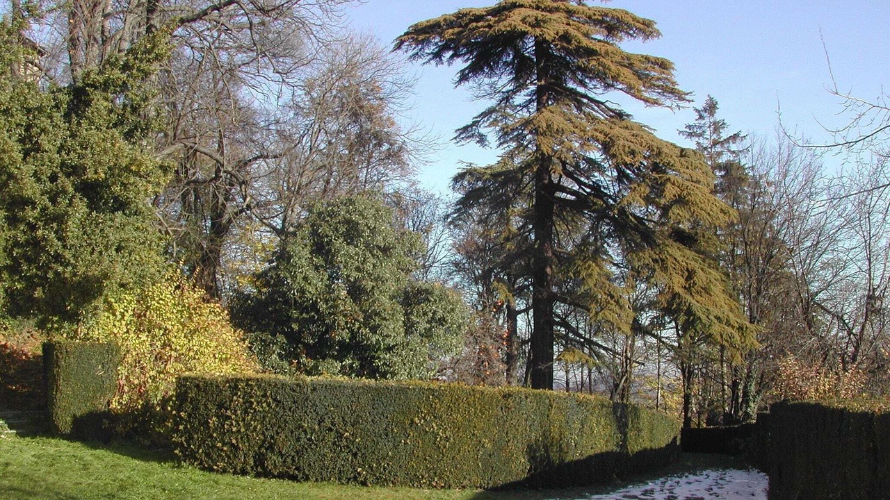 Photo of Outdoor in Robella