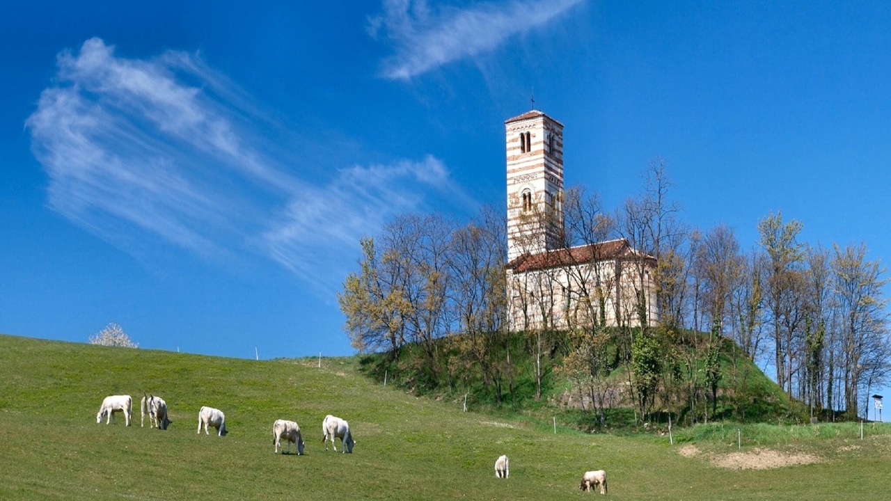 Photo of Others in Robella