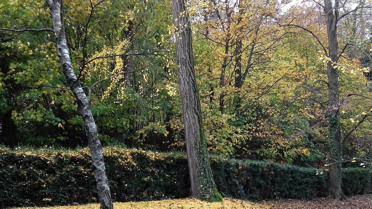 Photo of Outdoor in Robella
