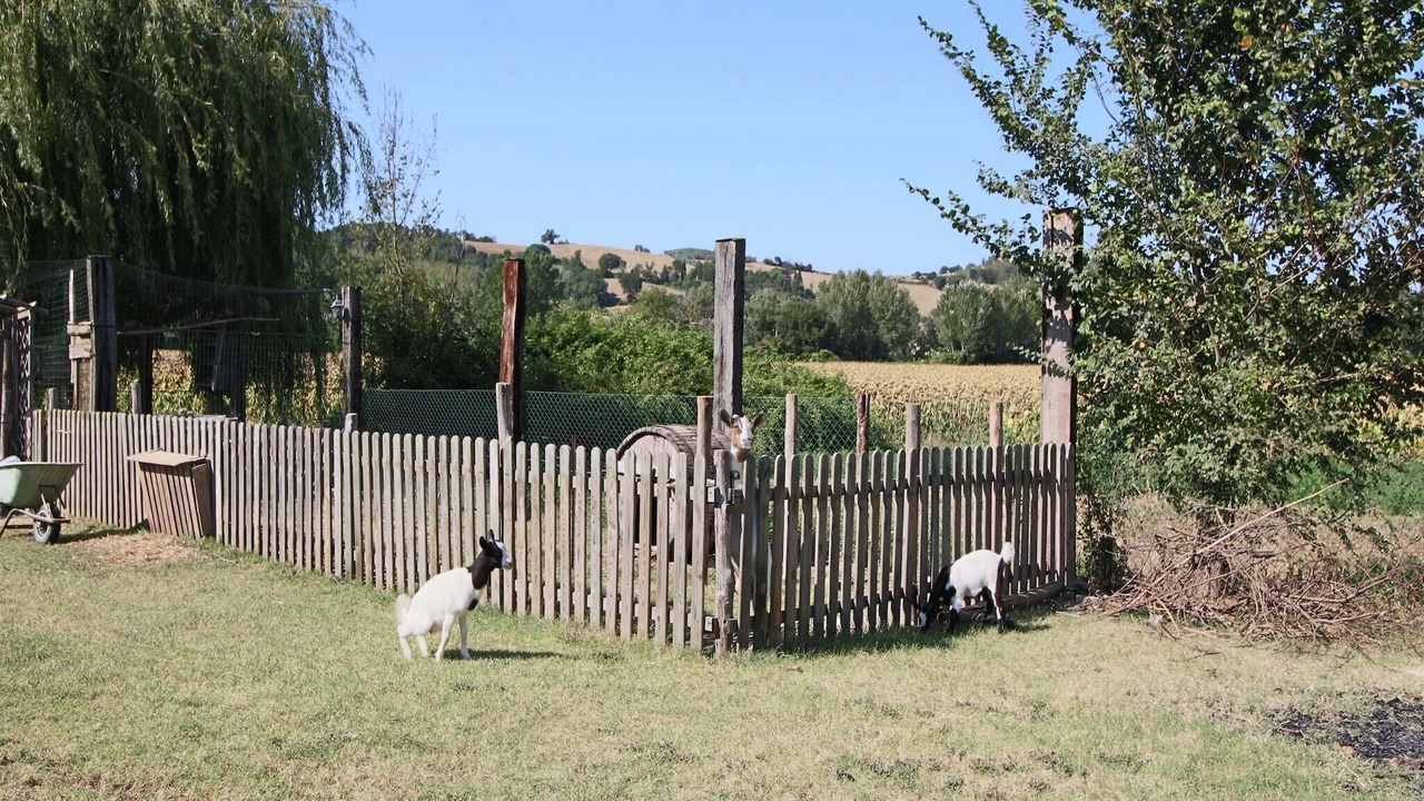 Photo of Others in Todi