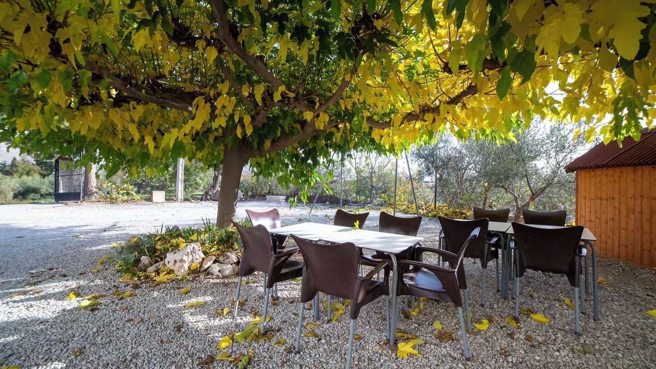 Photo of Outdoor in Velez-Blanco