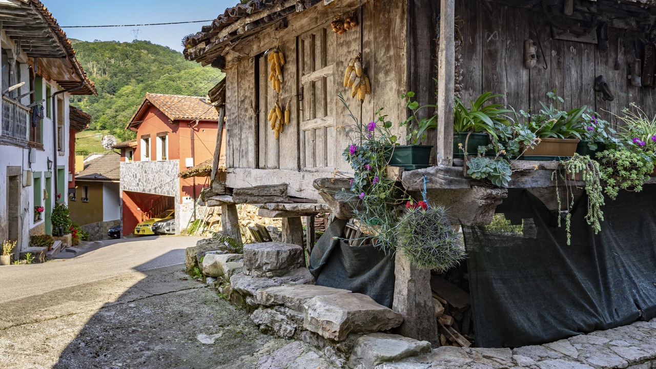 Photo of Outdoor in Llenin