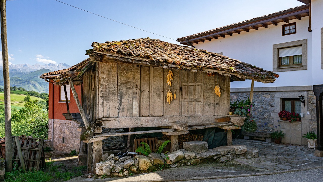 Photo of Outdoor in Llenin