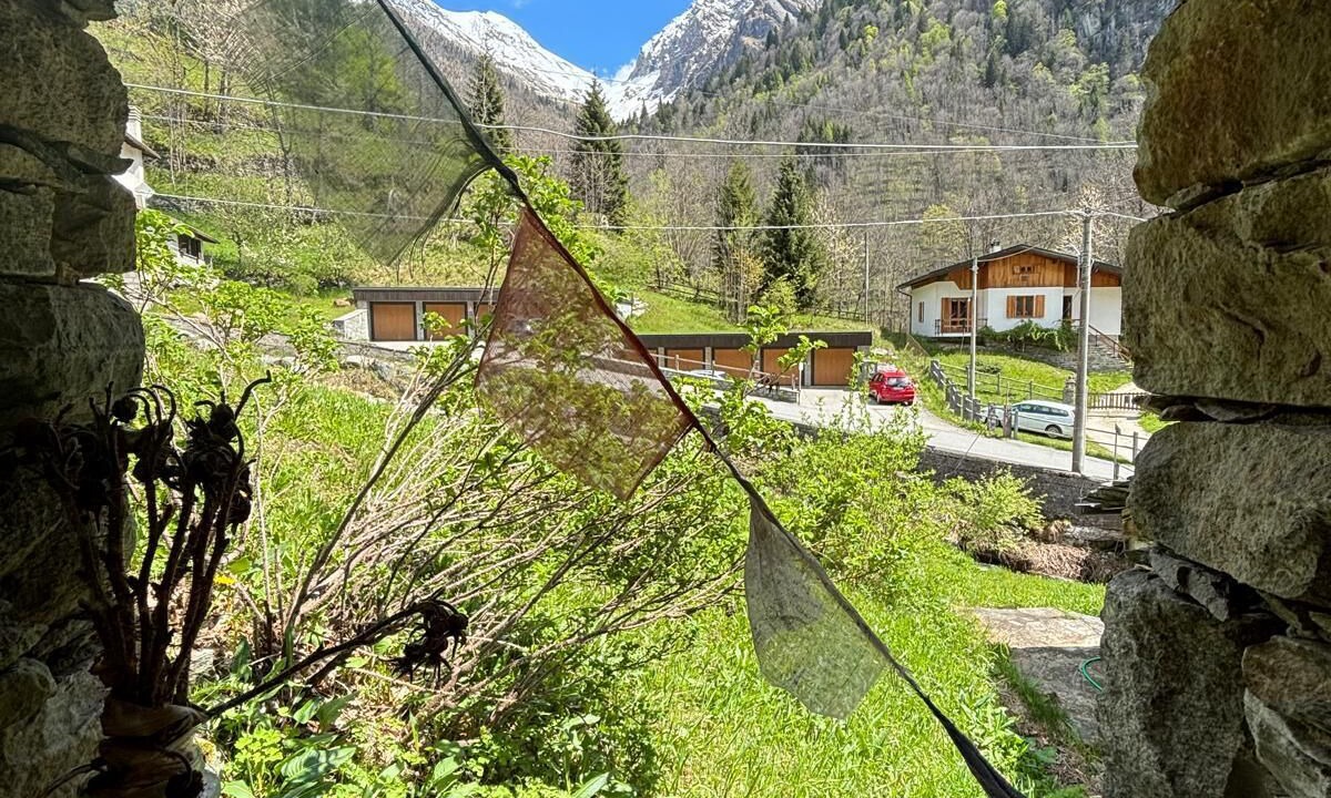 Photo of Outdoor in Alagna Valsesia