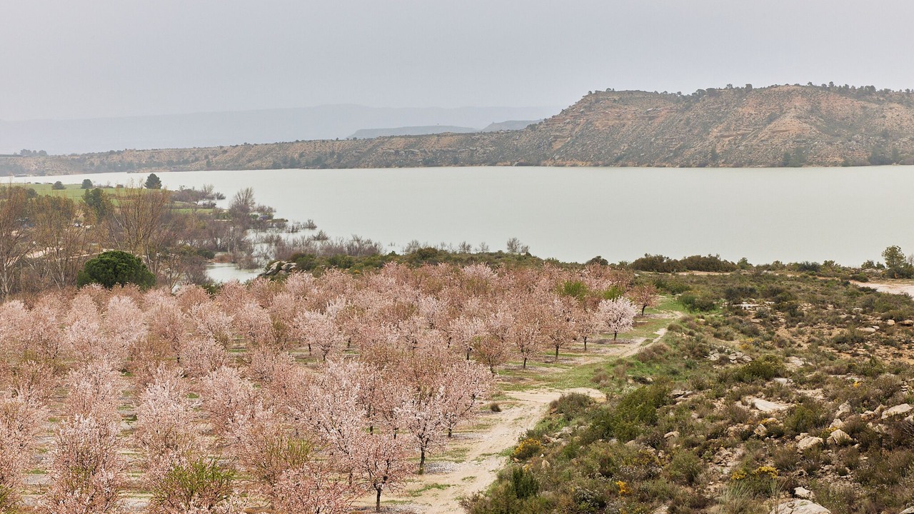 Photo of Outdoor in Caspe