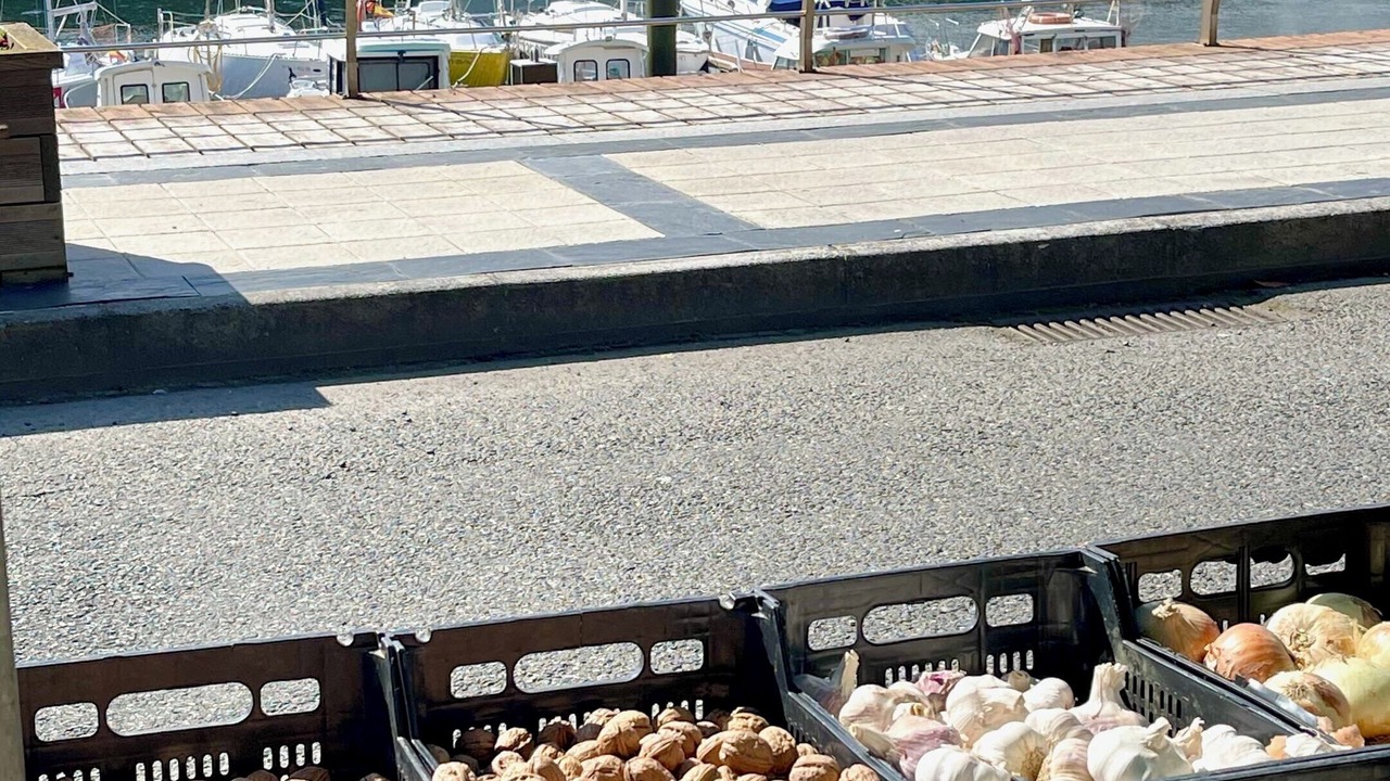 Photo of Others in Fazouro