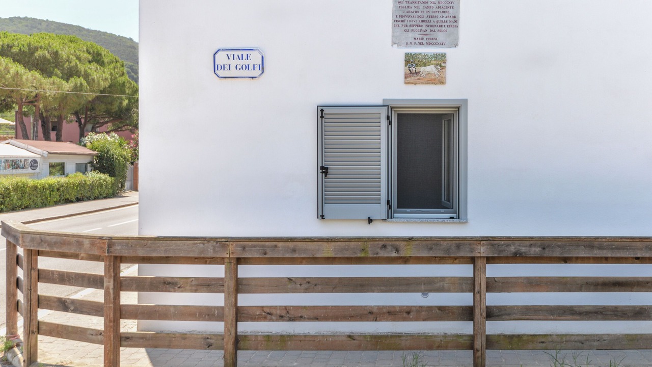 Photo of Outdoor in Lacona