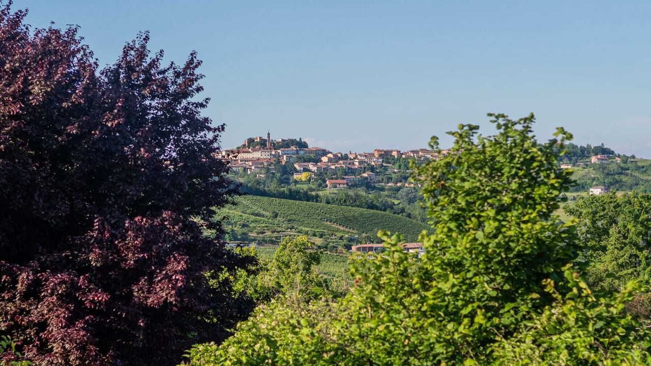 Photo of Outdoor in Bosco Marengo