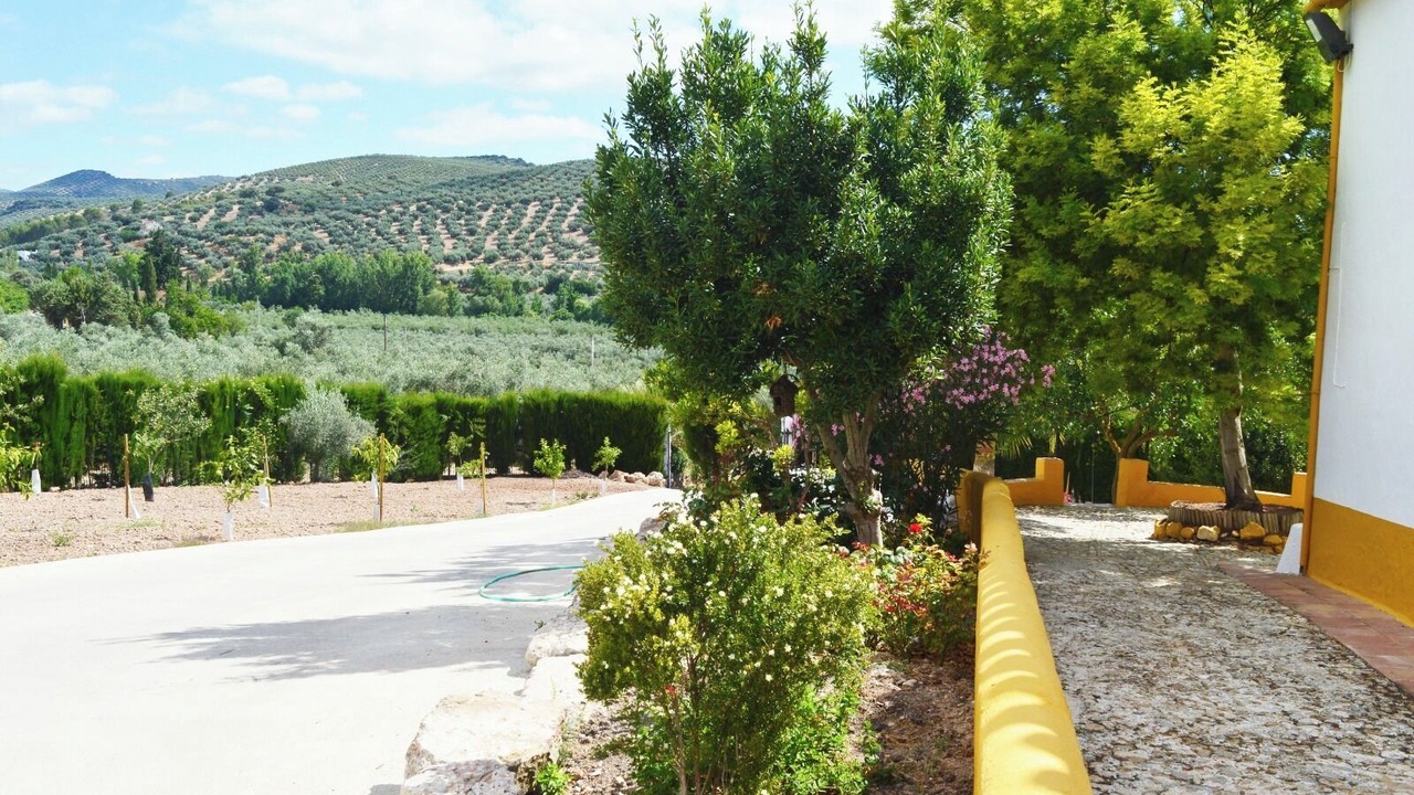 Photo of Outdoor in Zambra