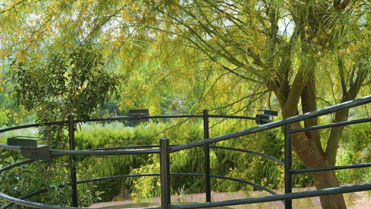Photo of Outdoor in Zambra