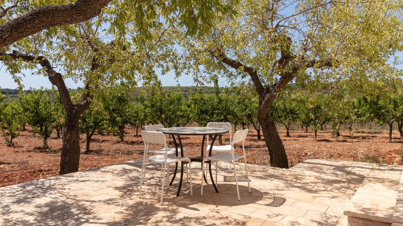 Photo of Outdoor in Alcanterini