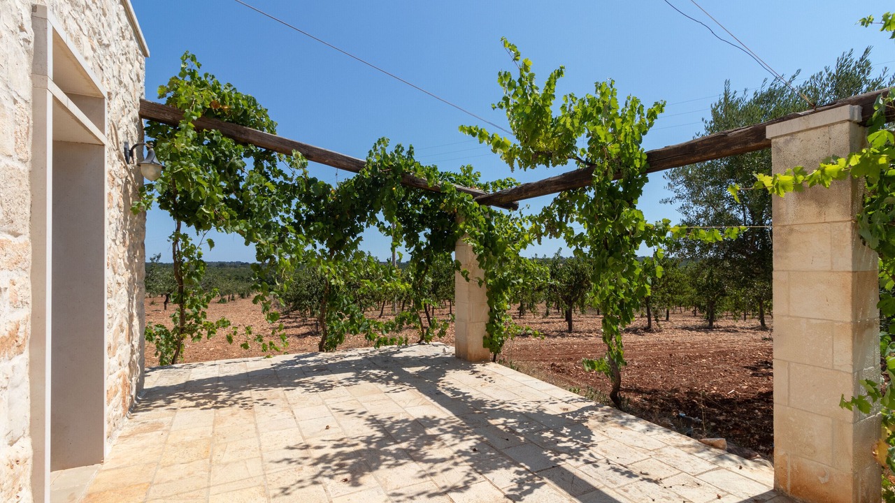 Photo of Outdoor in Alcanterini