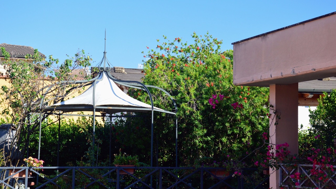 Photo of Outdoor in Zona XIX Casal Morena