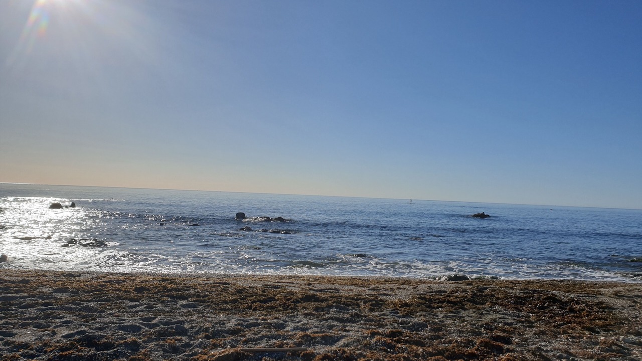 Photo of Others in Casares del Mar