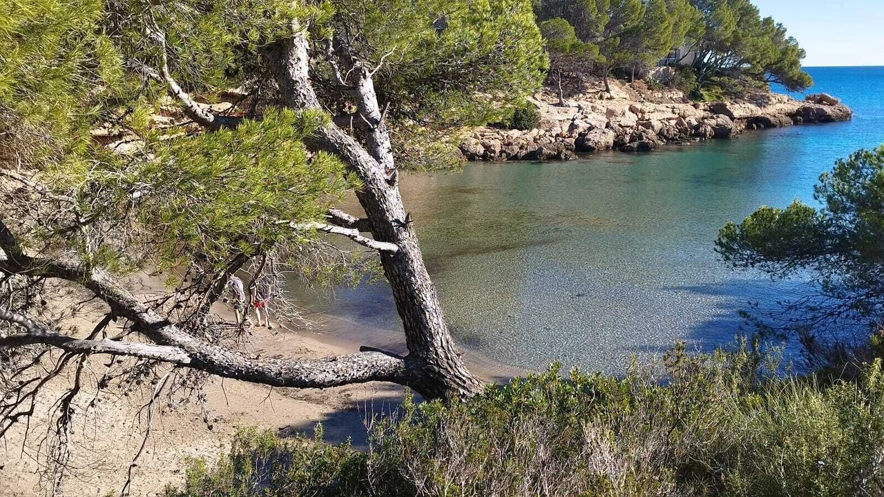 Photo of Others in Calafat