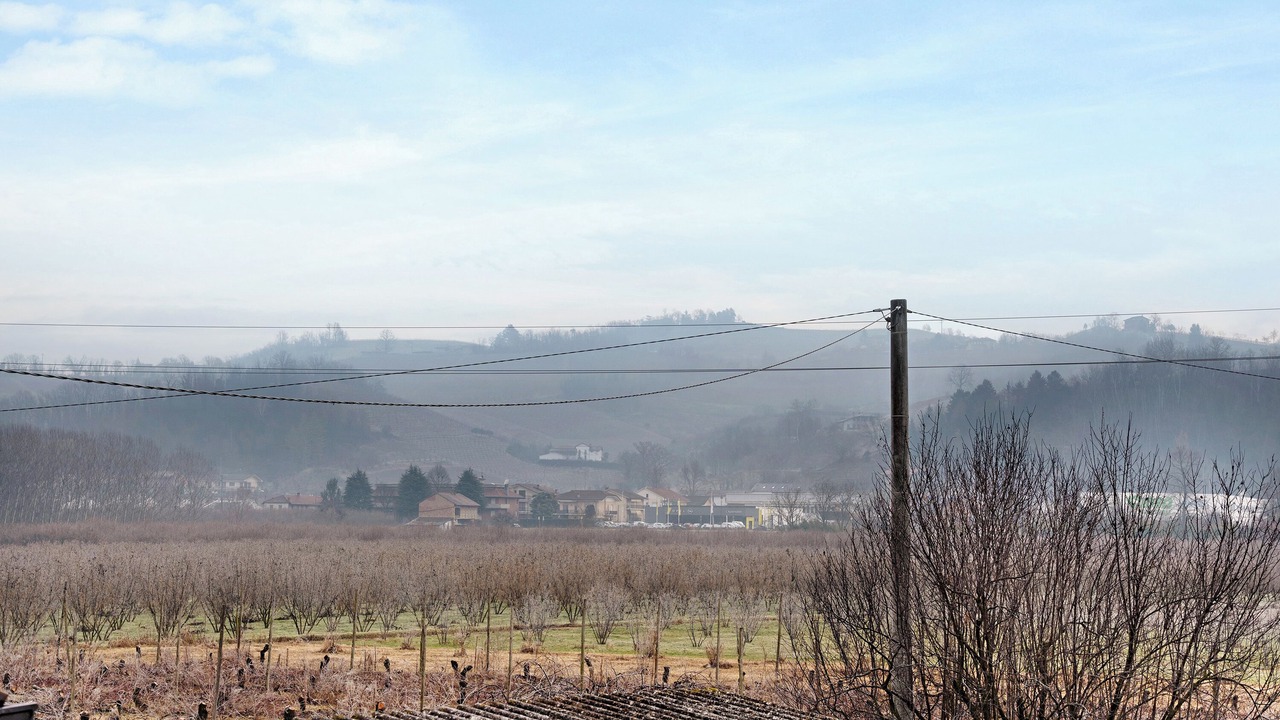 Photo of Others in Alba