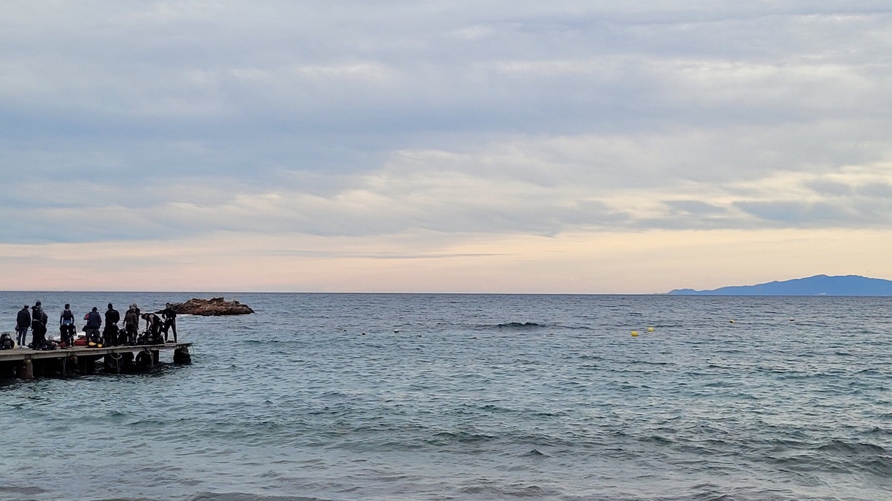 Photo of Others in Calabardina