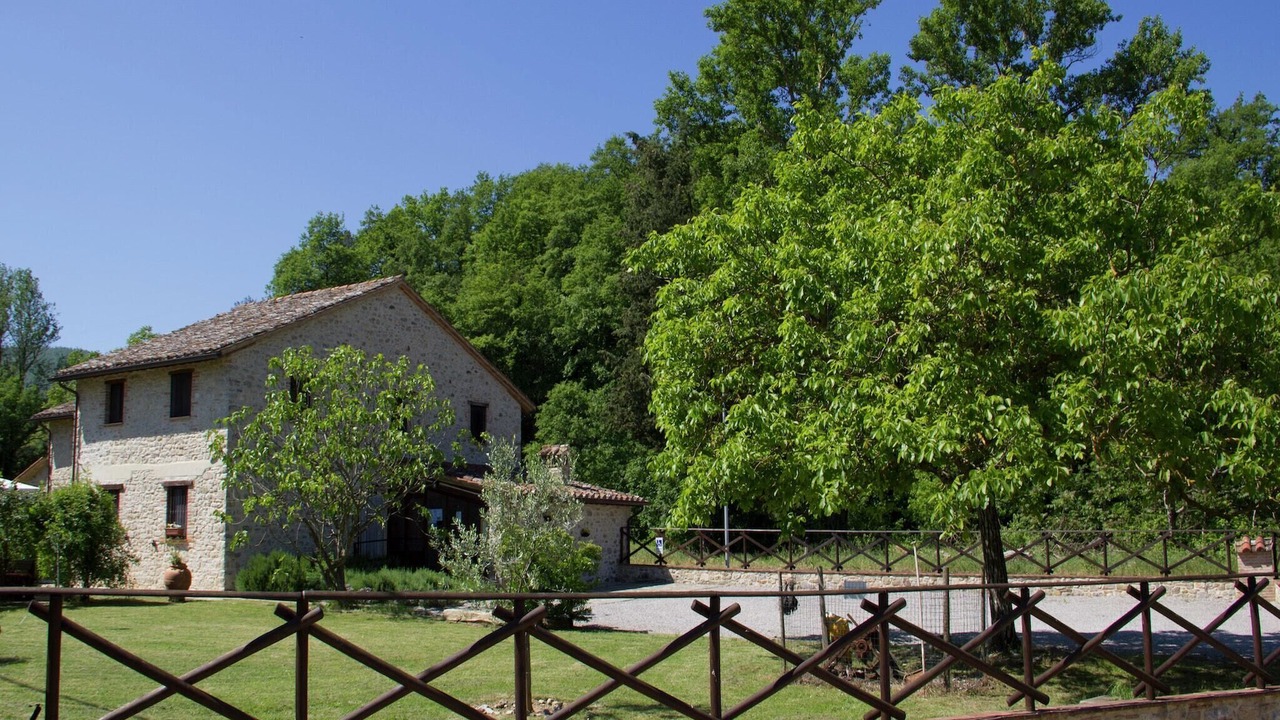 Photo of Outdoor in Piegaro