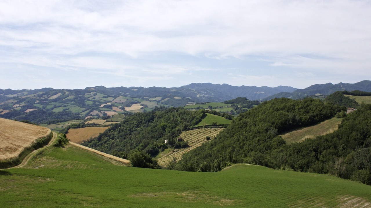 Photo of Others in Casalfiumanese