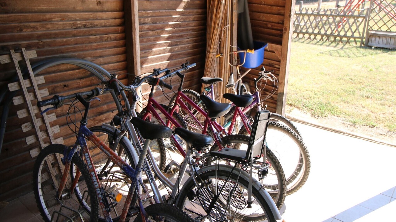 Photo of Others in Todi