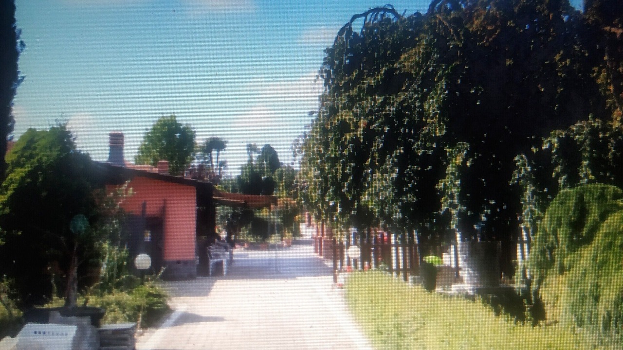 Photo of Others in Dusino San Michele