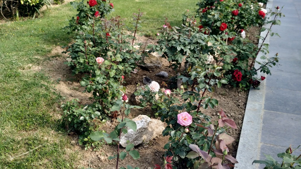 Photo of Outdoor in Dusino San Michele
