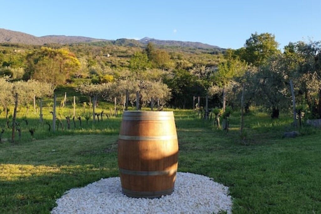 Photo of Outdoor in Randazzo