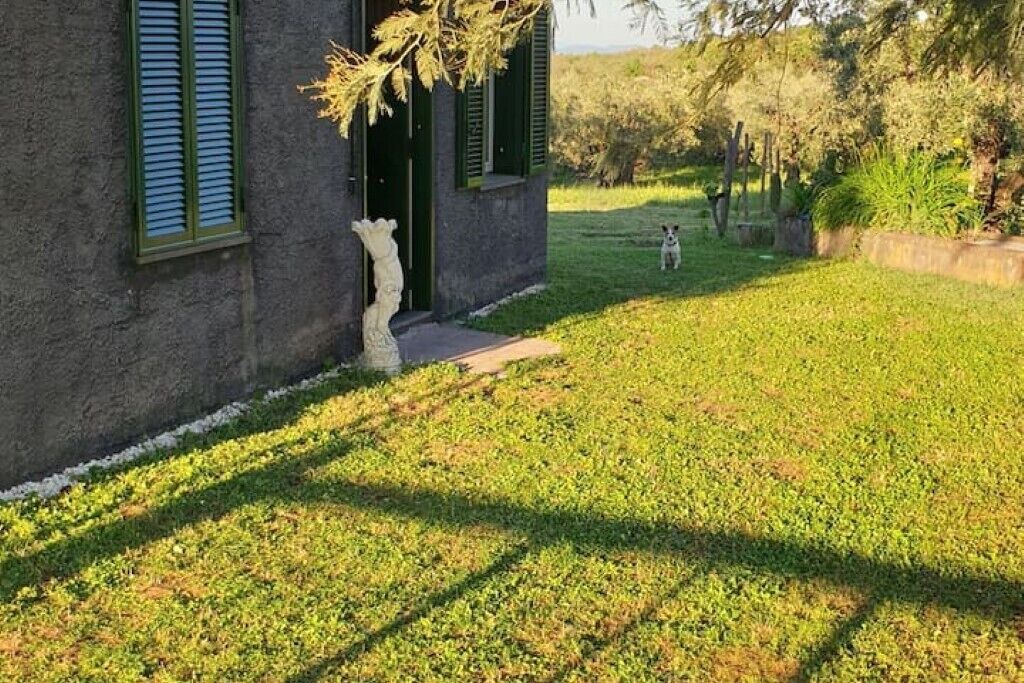 Photo of Outdoor in Randazzo