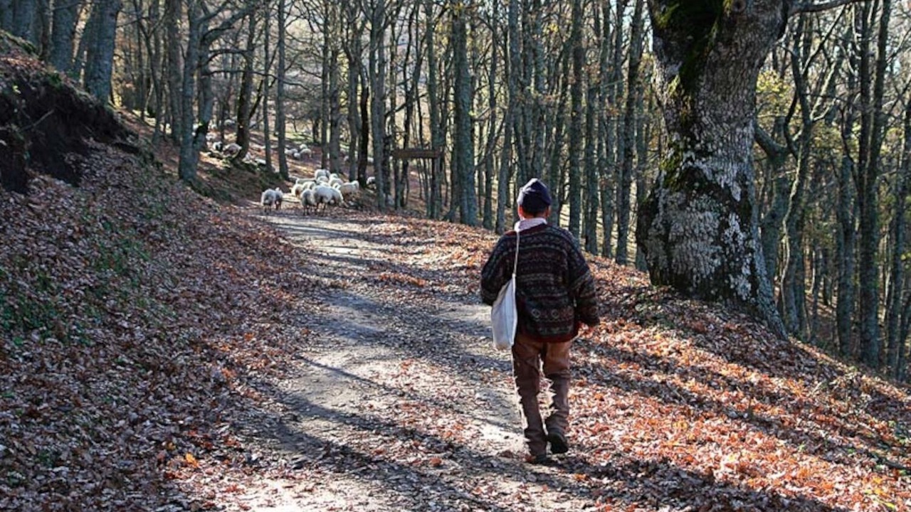 Photo of Outdoor in Randazzo