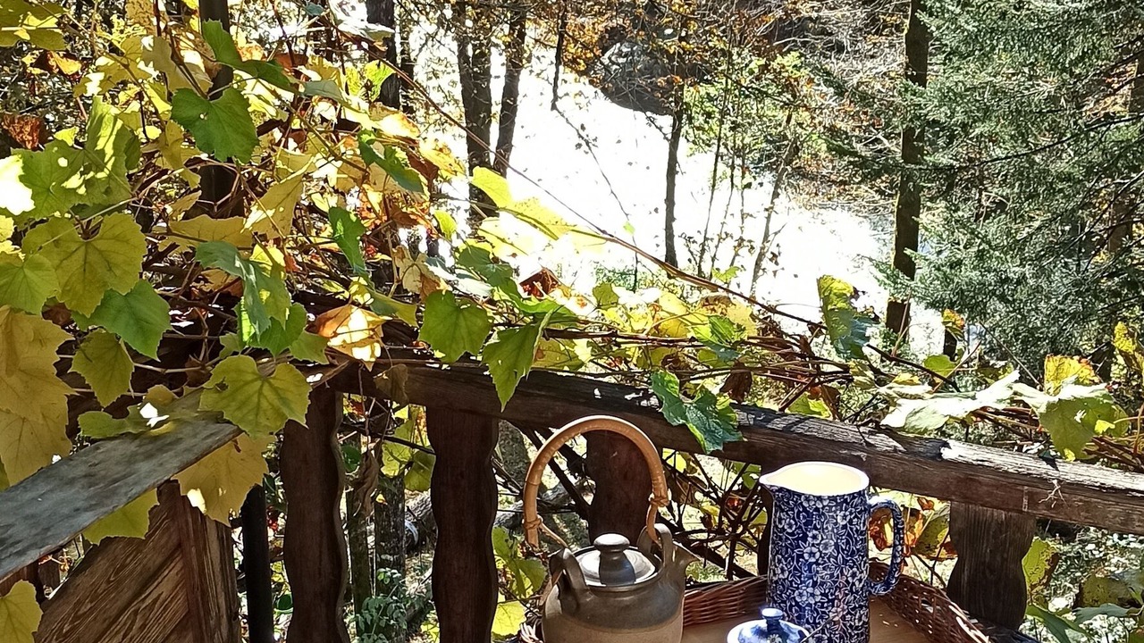 Photo of Outdoor in Balmuccia