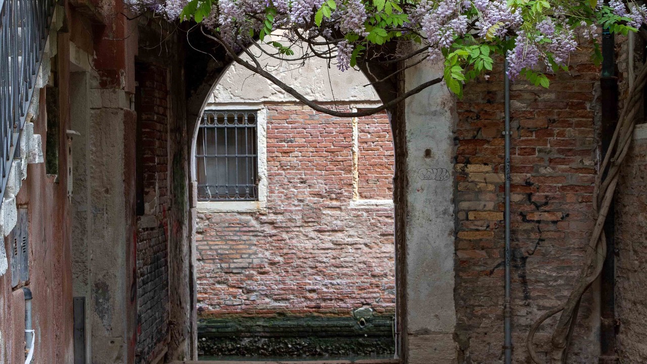 Photo of Outdoor in Burano