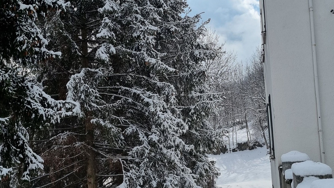 Photo of Outdoor in Antey-Saint-Andre