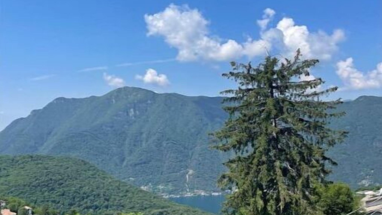Photo of Outdoor in Veleso