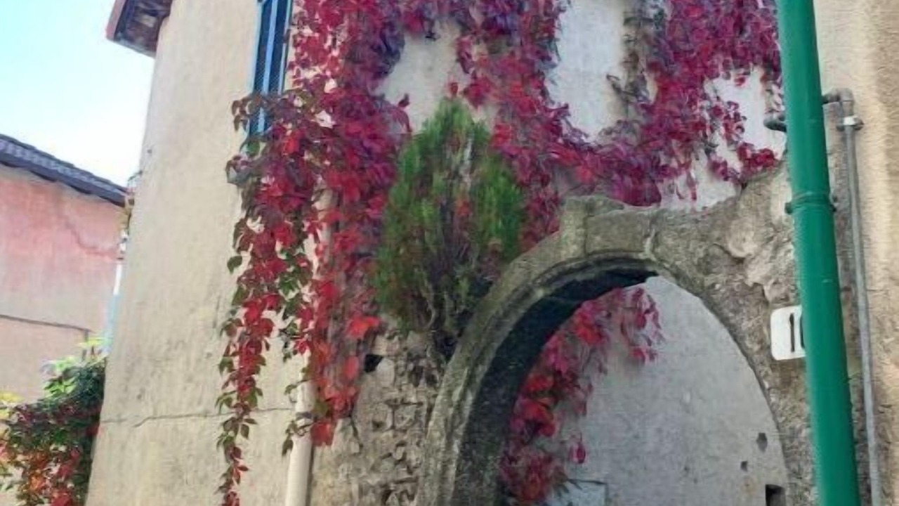 Photo of Outdoor in Veleso