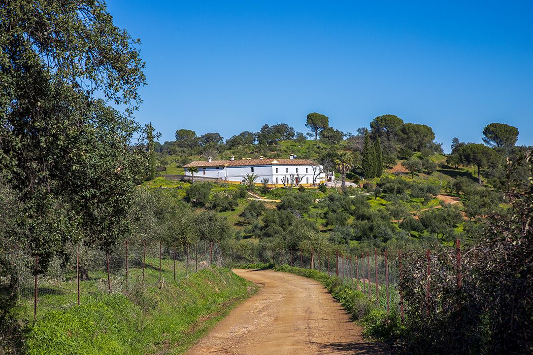 Photo of Outdoor in Villaviciosa de Cordoba