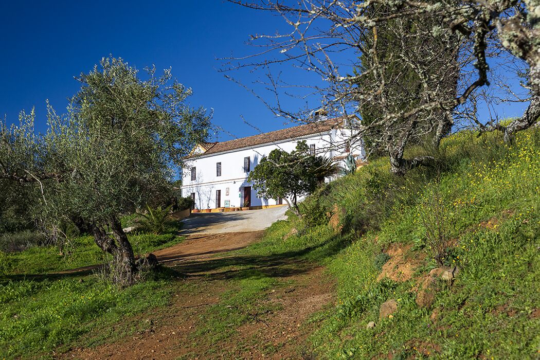 Photo of Outdoor in Villaviciosa de Cordoba