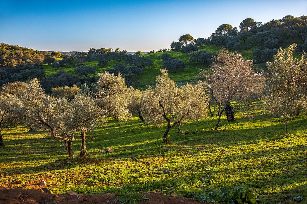 Photo of Outdoor in Villaviciosa de Cordoba