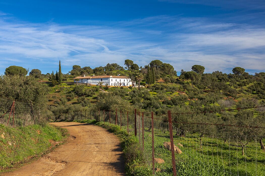 Photo of Others in Villaviciosa de Cordoba