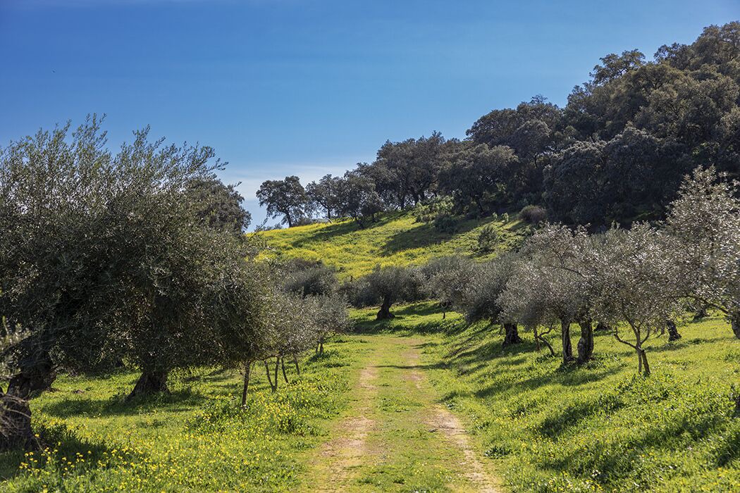 Photo of Outdoor in Villaviciosa de Cordoba
