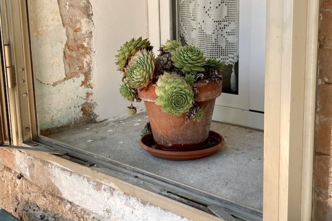 Photo of Outdoor in San Giovanni Ilarione