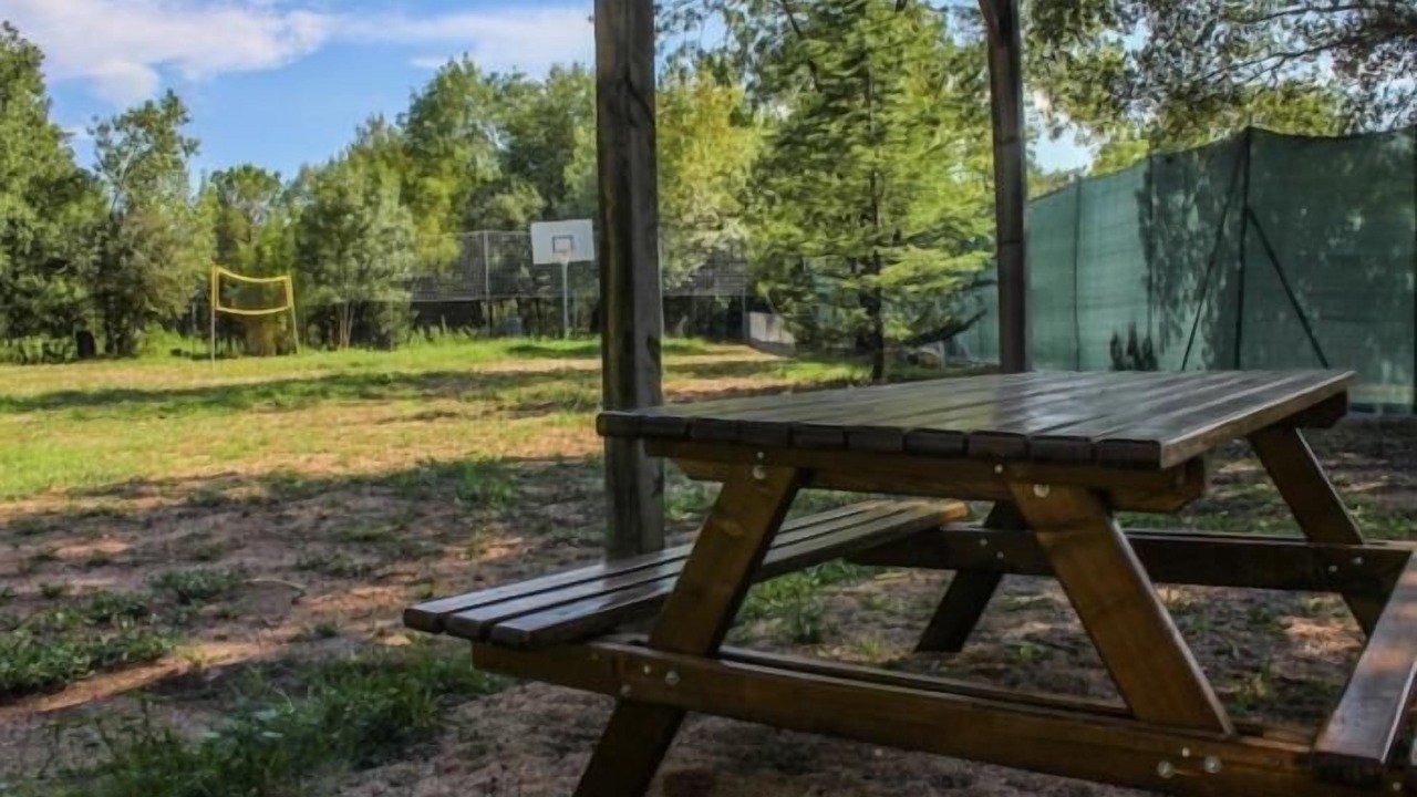 Photo of Outdoor in Quart